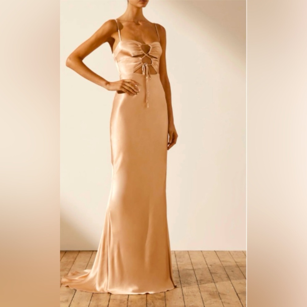 Shona Joy,  La Lune Lace Front Dress, Desert Rose, size 6, brand new, tags on